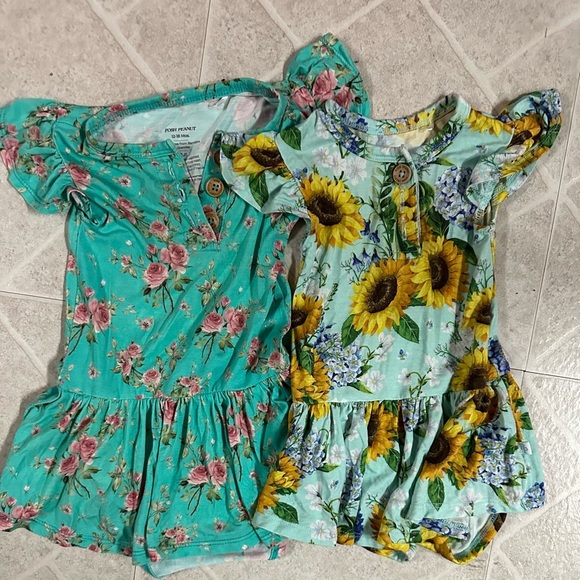 Posh peanut bamboo dresses, excellent used condition 6-12 & 12-18 month bundle